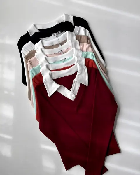 2 color fullsleeve polo top